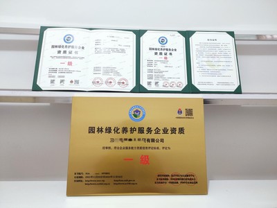 一站式商務服務 上海市營業執照與代碼證代辦、代理記賬及商務代理